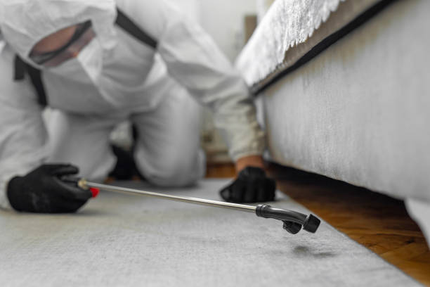 Professional Pest Control technician working in Washington, NJ