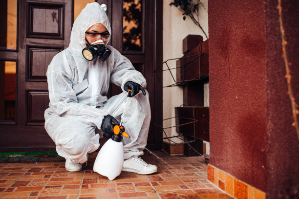 Reliable Rodent Control contractor in Washington, NJ by Nex Pest Control